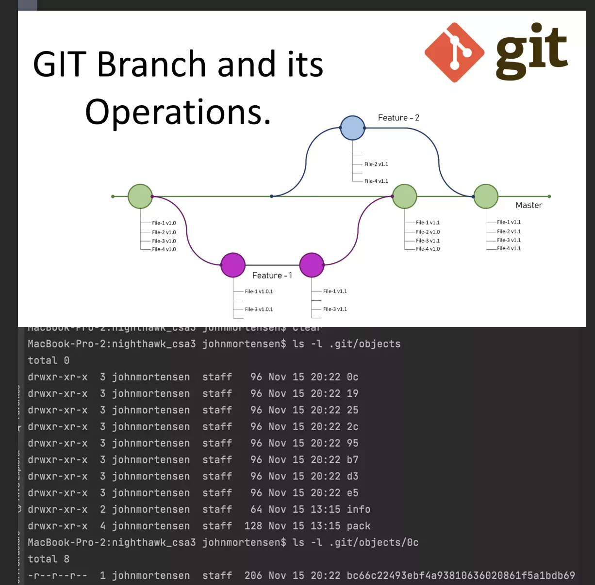 git-pic